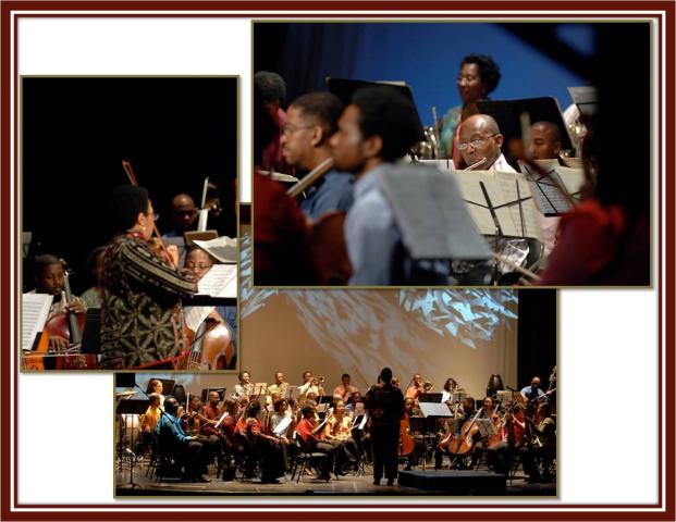 hso_musicians_collage.jpg